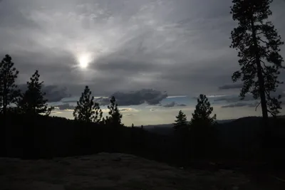 DSC_4493 (Large).JPG